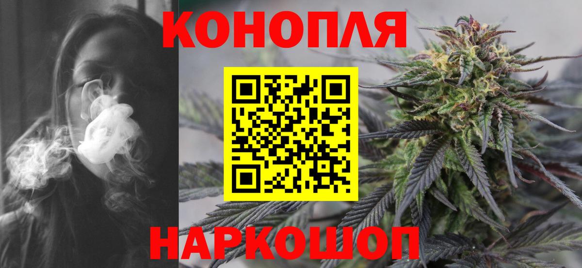 Каннабис тримм  Шишки марихуана планчик  Конопля план  Конопля гибрид  Вход с VPN  Алатырь 